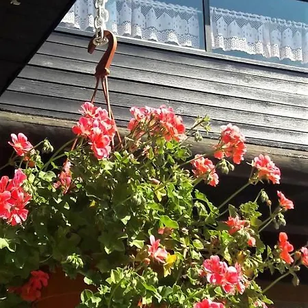 Apartament Family Nakiteya