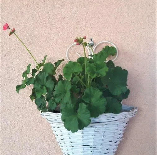 Family Nakiteya * Liubliana